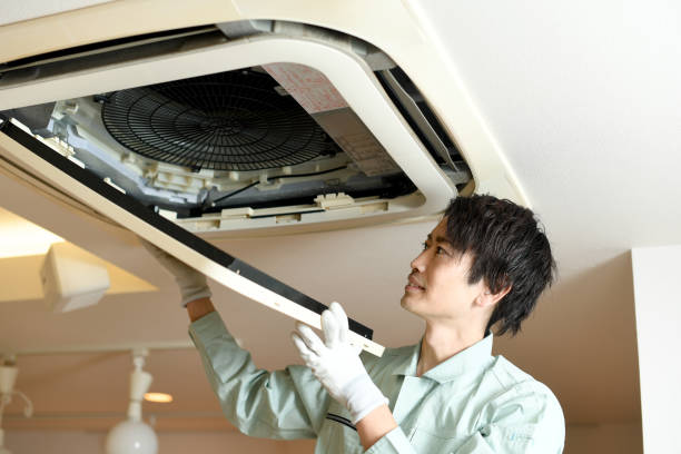 Best HVAC Maintenance and Cleaning  in Beulaville, NC