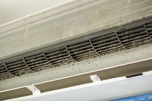 Best Air Duct Cleaning Company Near Me  in Beulaville, NC